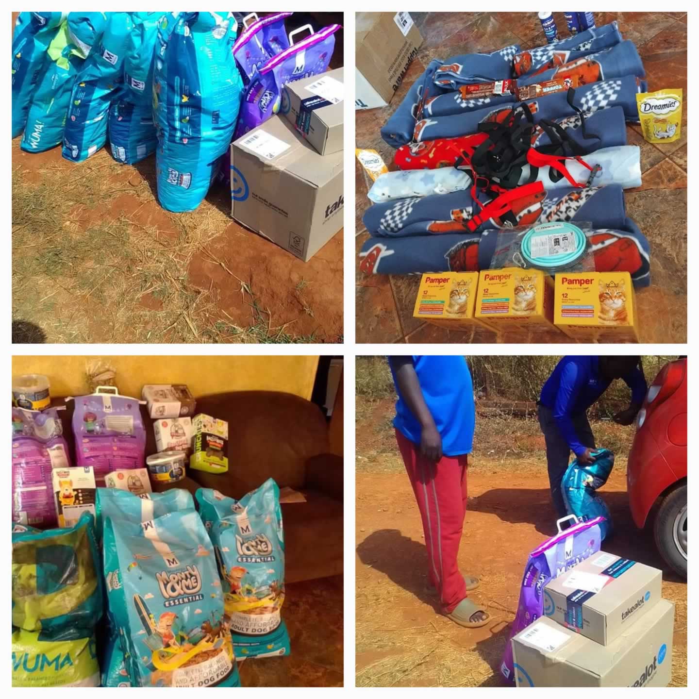 Ludzula Kone Animal Rescue